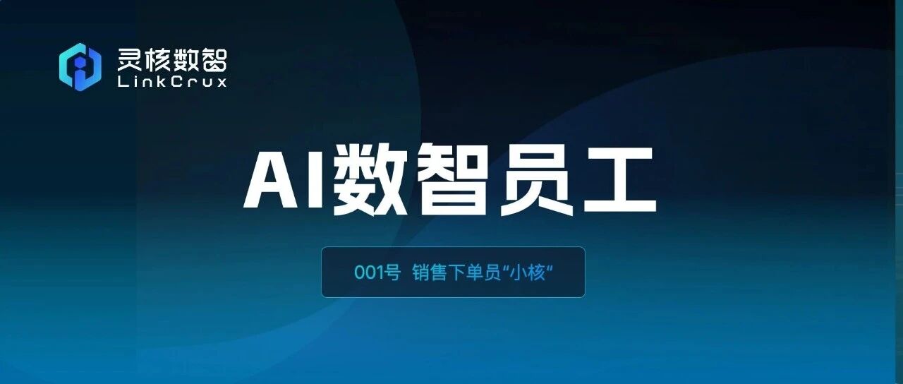 001号员工，销售下单员“小核”来了！